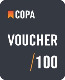 VOUCHER 100
